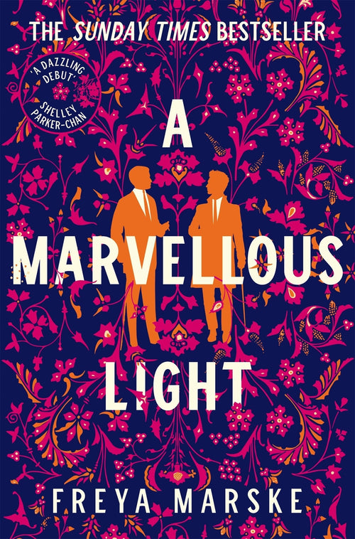 A Marvellous Light paperback cover