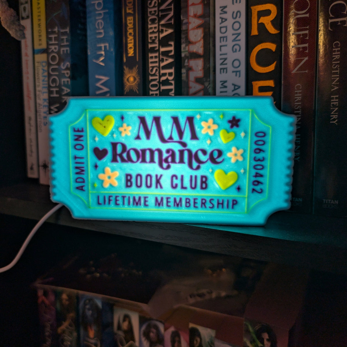 MM Romance Book Club Shelf Light